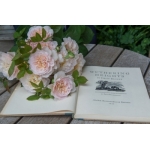 Emily Bronte / Емілі Бронте